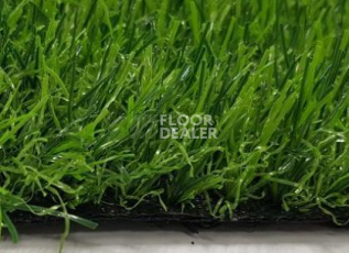 EcoGreen EcoGreen фото 2 | FLOORDEALER